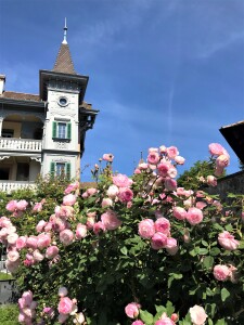 Rosengarten Schloss Spiez verkleinert