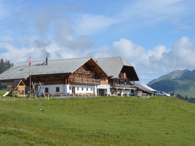 Site Alp Zweisimmen v2