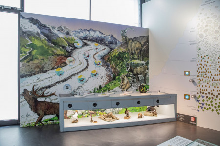 World Nature Forum Flora Fauna Brig Wallis