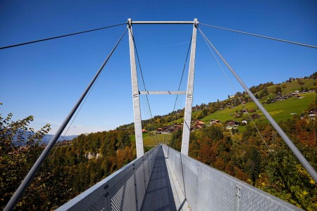 brueckenweg verkleinert
