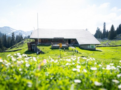 oberstockenalp Erlenbach im Simmental